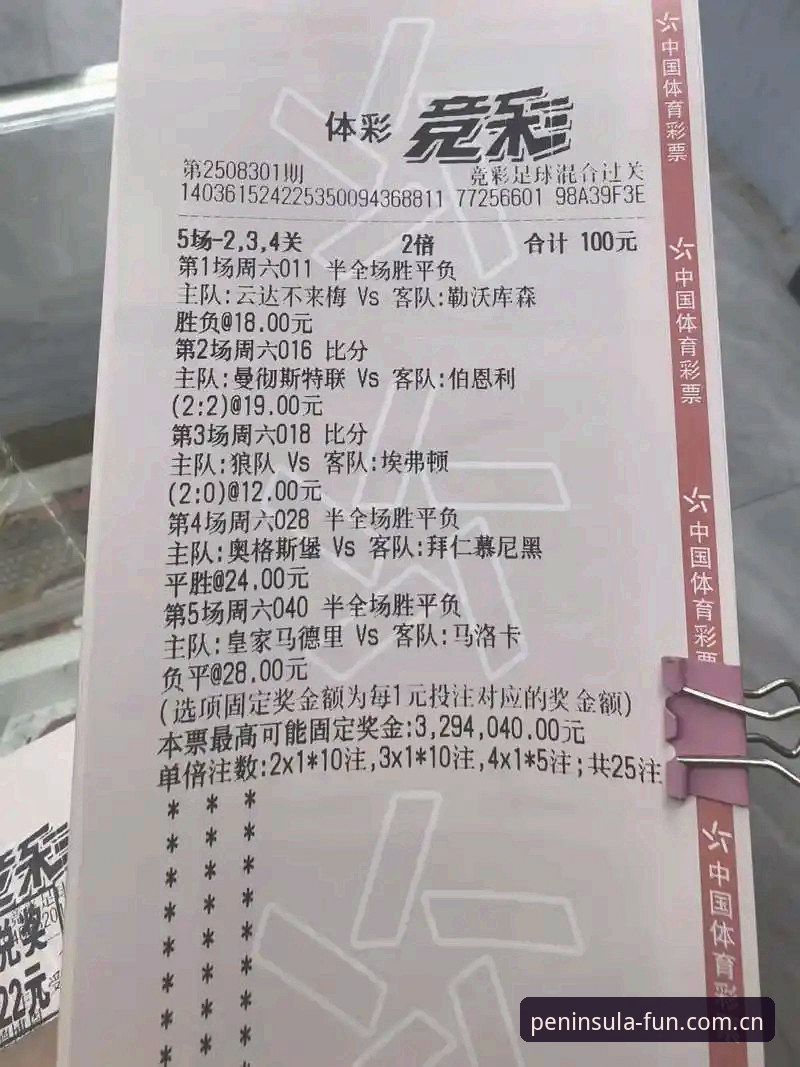 资深玩家亲测：半岛娱乐下载指引与使用心得，助你轻松开启竞彩之旅