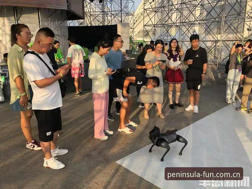半岛体育平台深度评测：半岛娱乐娱乐服务iOS版全面体验报告